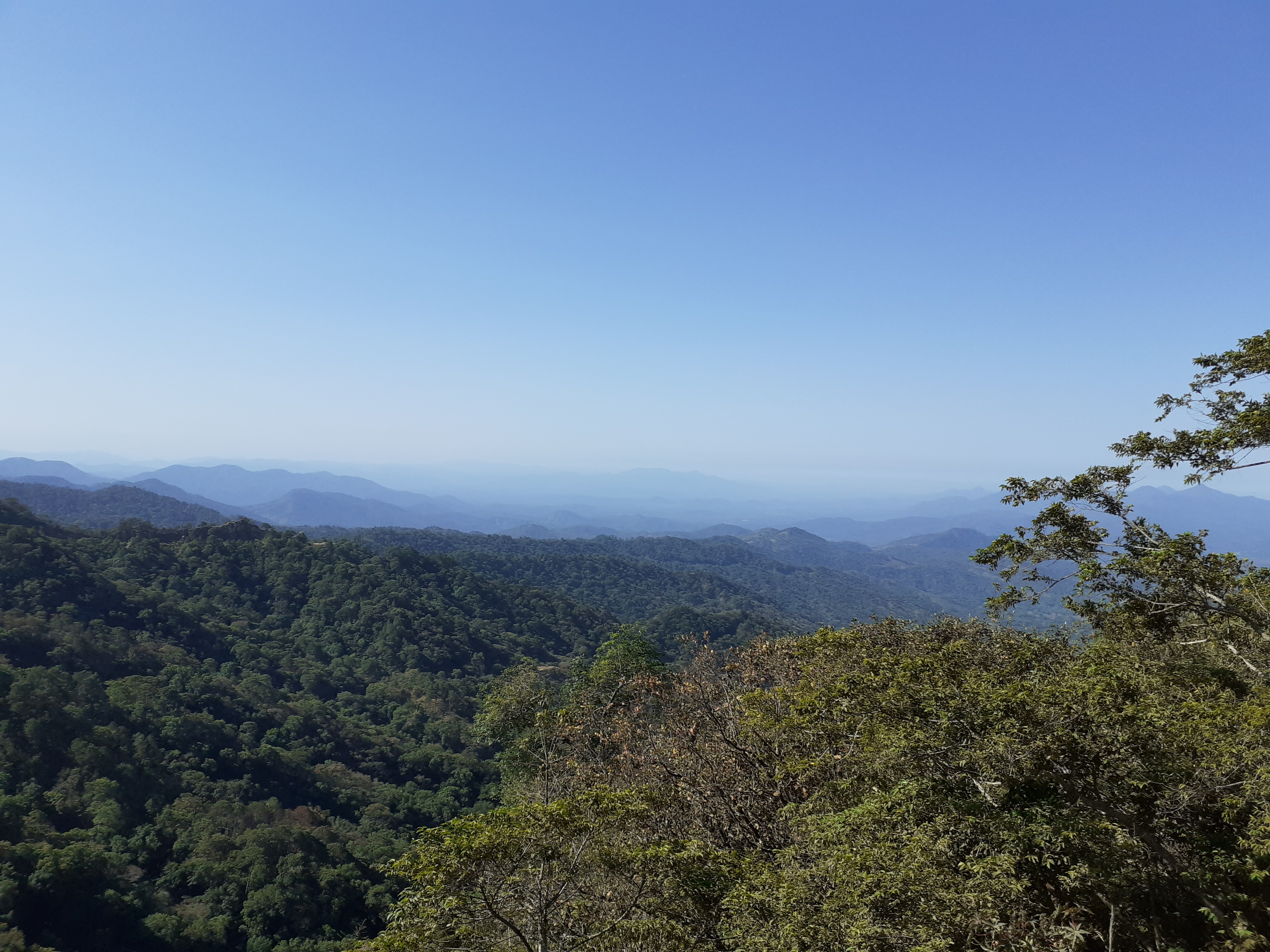 paisaje v2